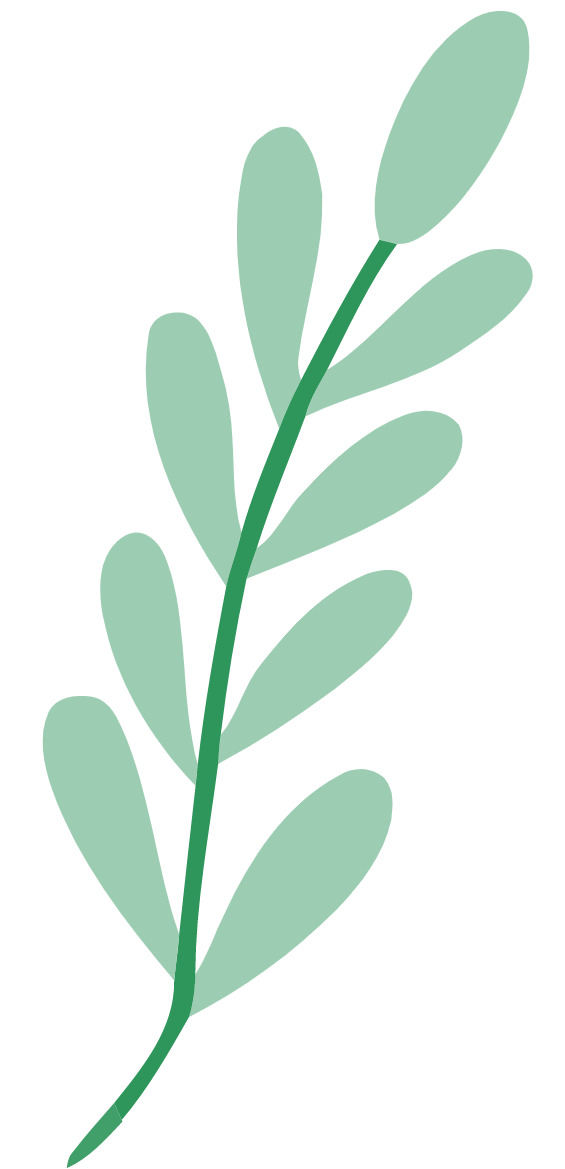 Image d'illustration feuille