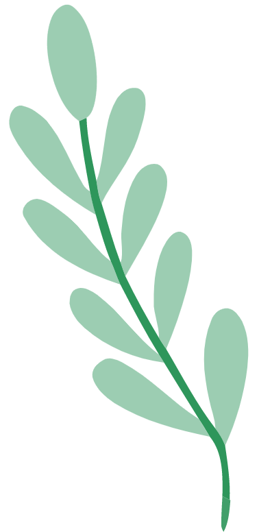 Illustration feuille